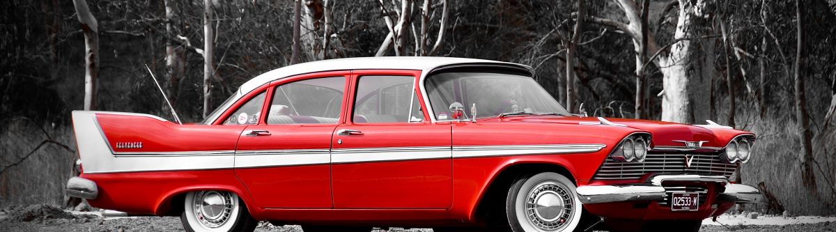 Plymouth Dale Photos Cover Image