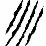 Growl Racing Profile Picture